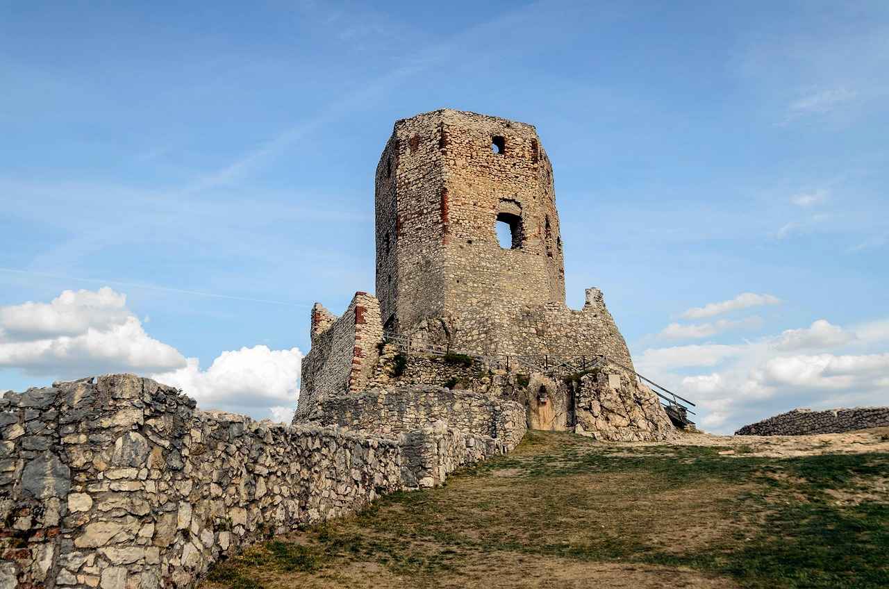 Exploring Resveratrol's Role in Anti-Aging and Heart Health 4 Conclusion: The Future of Resveratrol Research