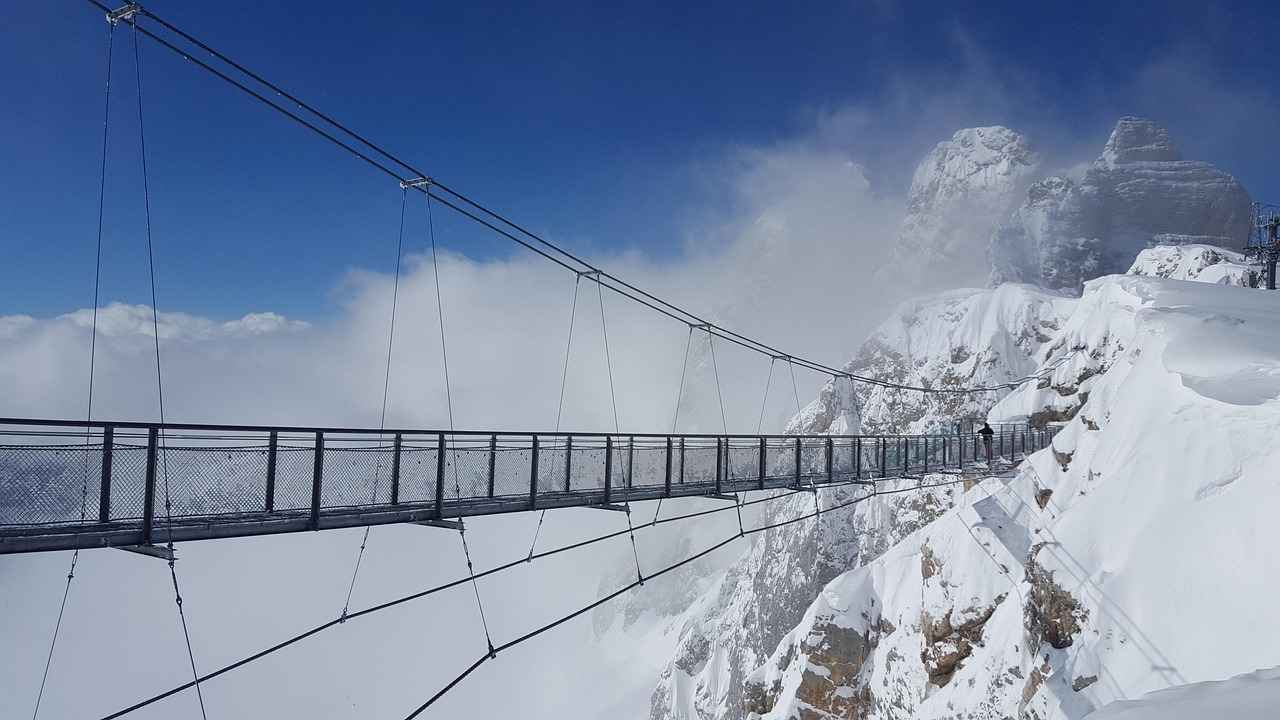 Exploring the Anti-Aging Properties of Pterostilbene 2 How Does Pterostilbene Work?