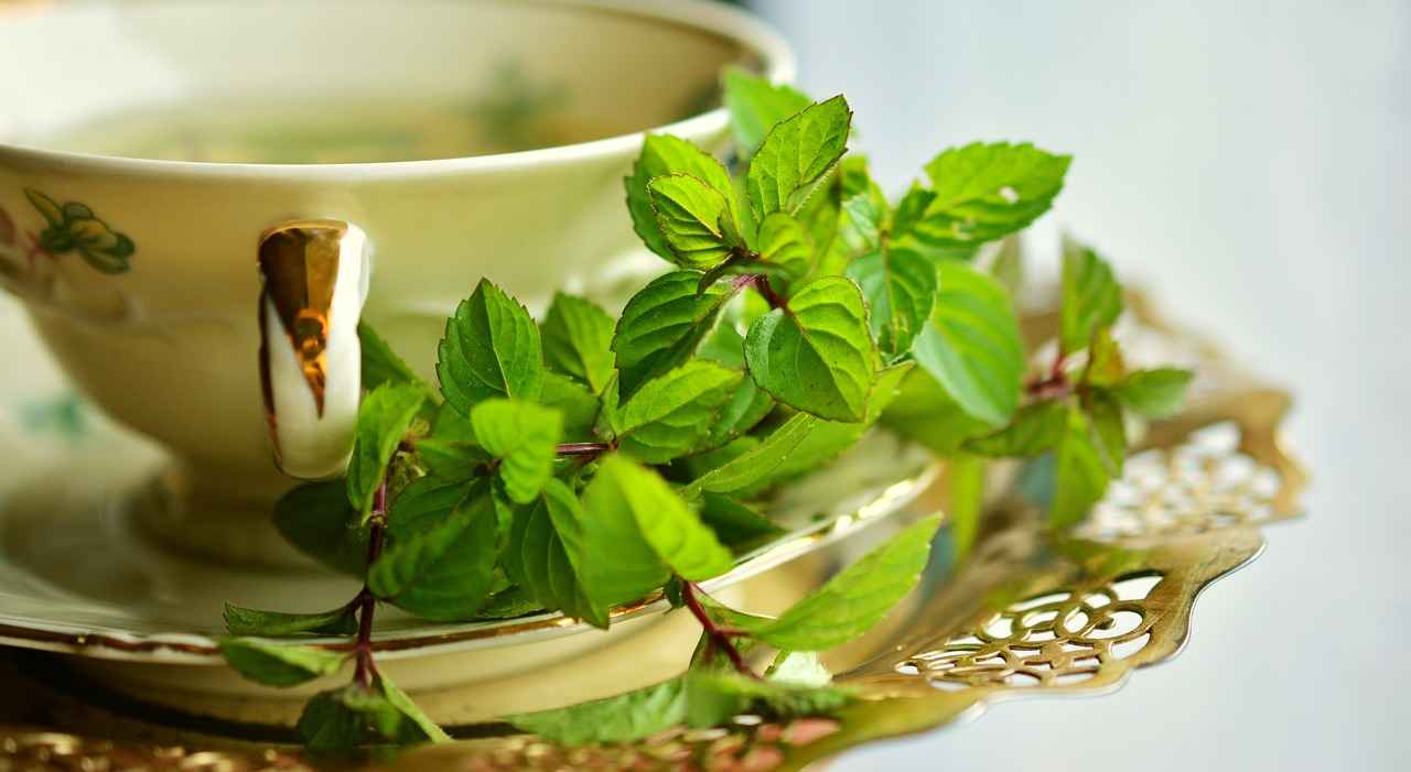 Antioxidant Properties of Green Tea Extract