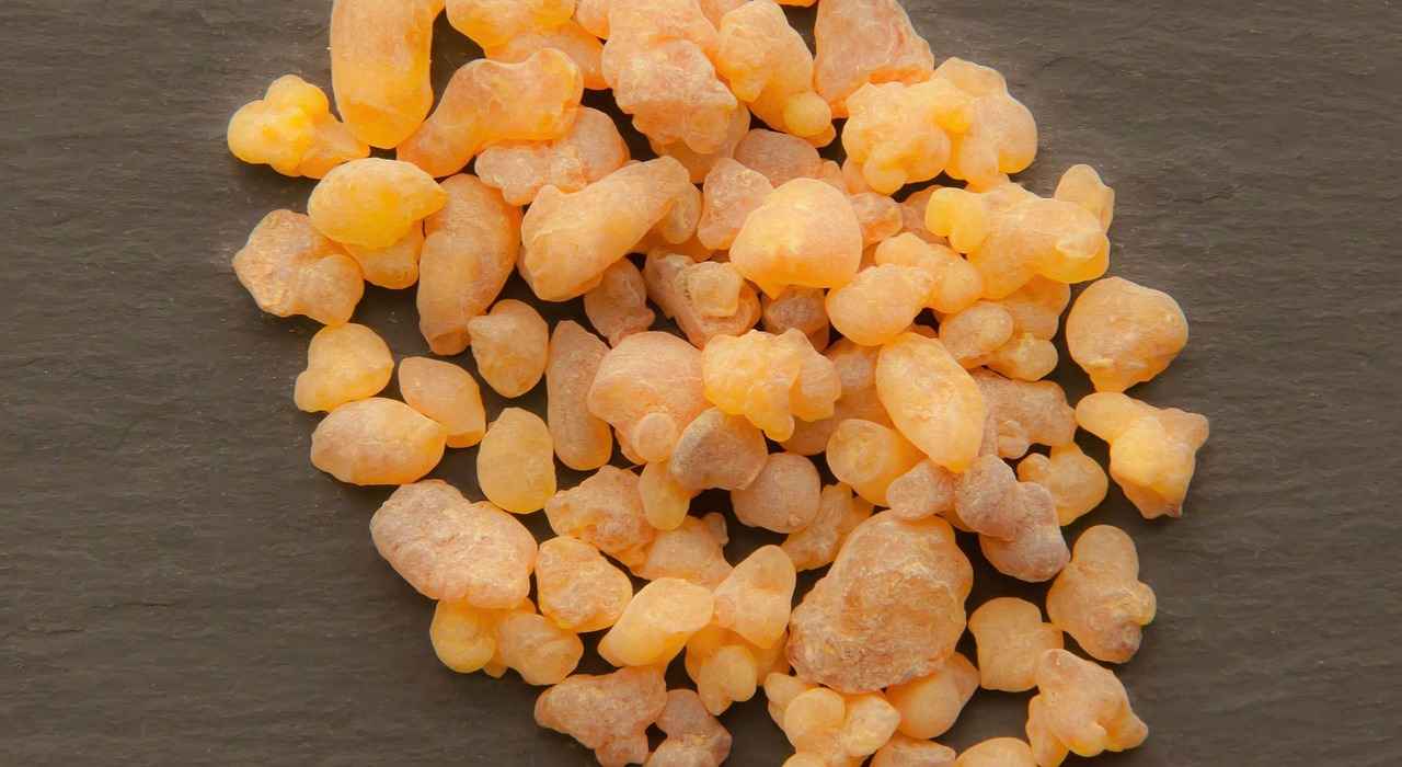 Exploring the Joint Comforting Effects of Boswellia Resin 1 What is Boswellia Resin?