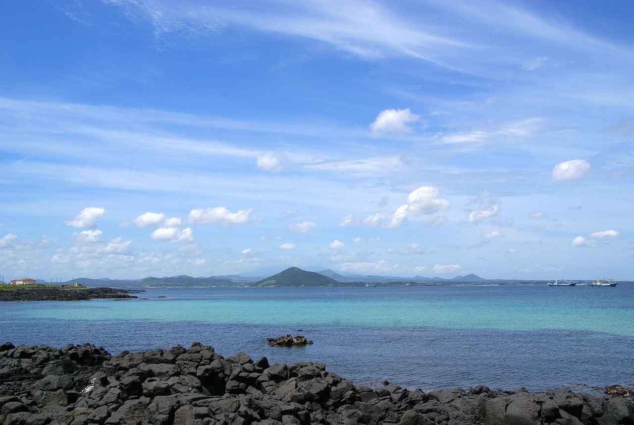 Sources of L-Carnitine