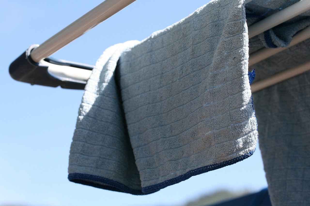 Harnessing the Power of Fiber Supplements for Digestive Health Harnessing the Power of Fiber Supplements for Digestive Health