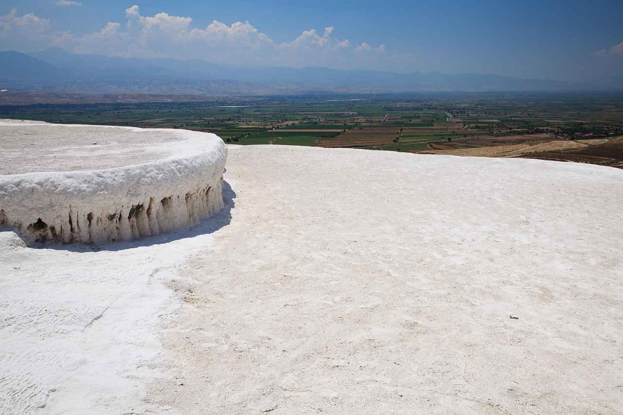 How Does Calcium D-Glucarate Work?