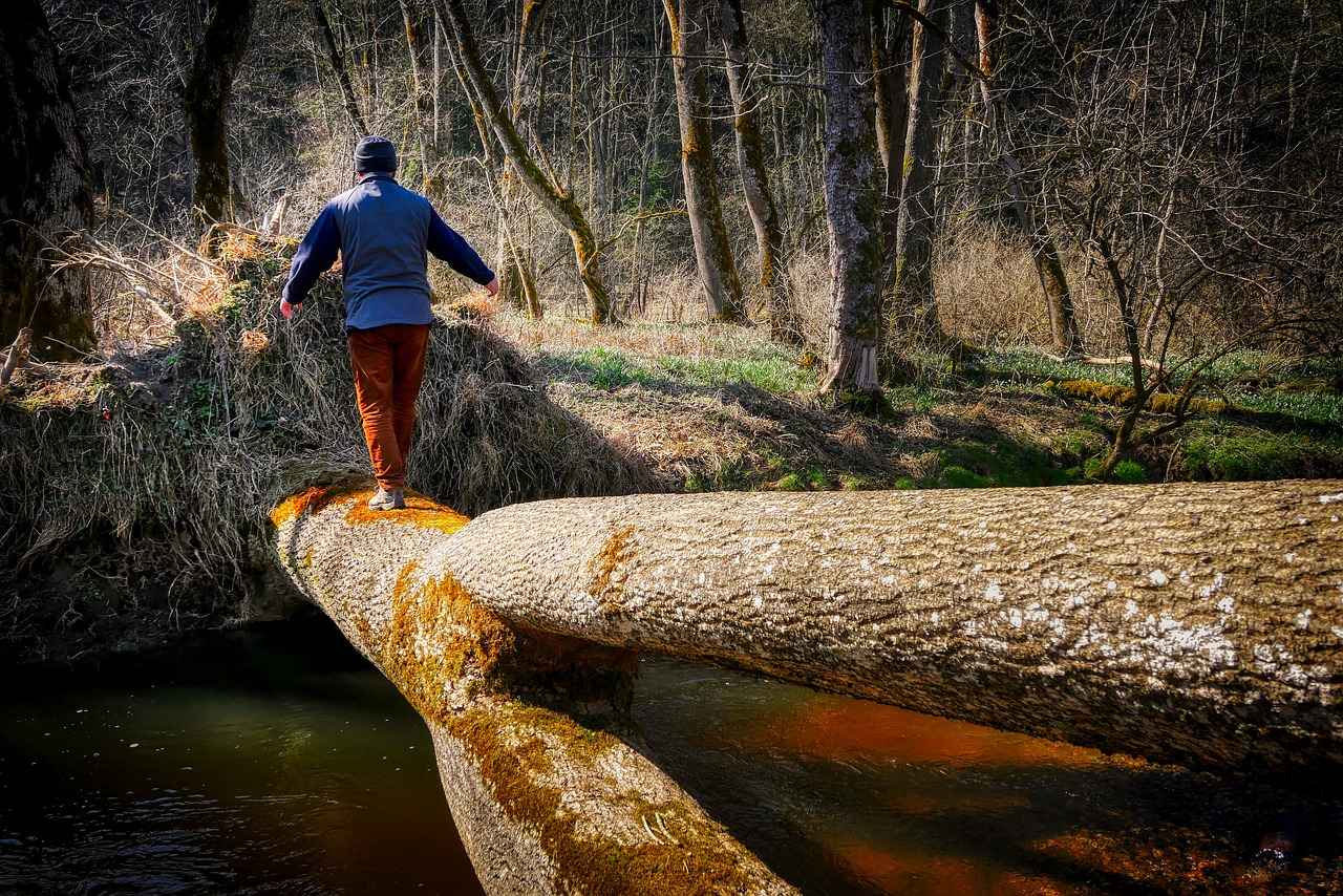 How DHEA Supports Hormonal Balance and Aging How DHEA Supports Hormonal Balance and Aging