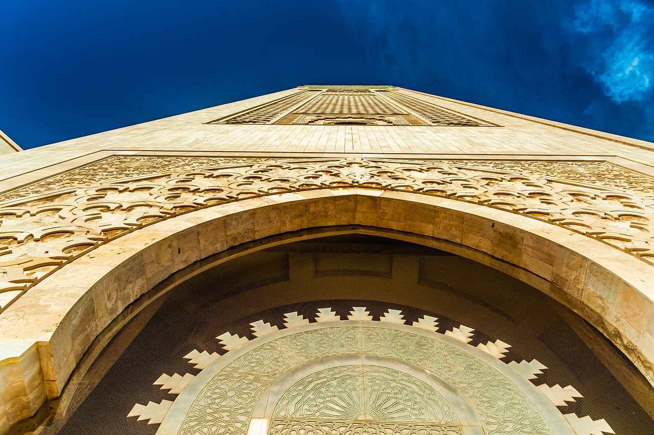 How L-Arginine Supports Circulation and Cardiovascular Health How L-Arginine Supports Circulation and Cardiovascular Health