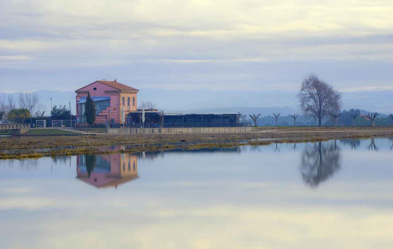 How L-Arginine Supports Circulation and Cardiovascular Health 1 What is L-Arginine?