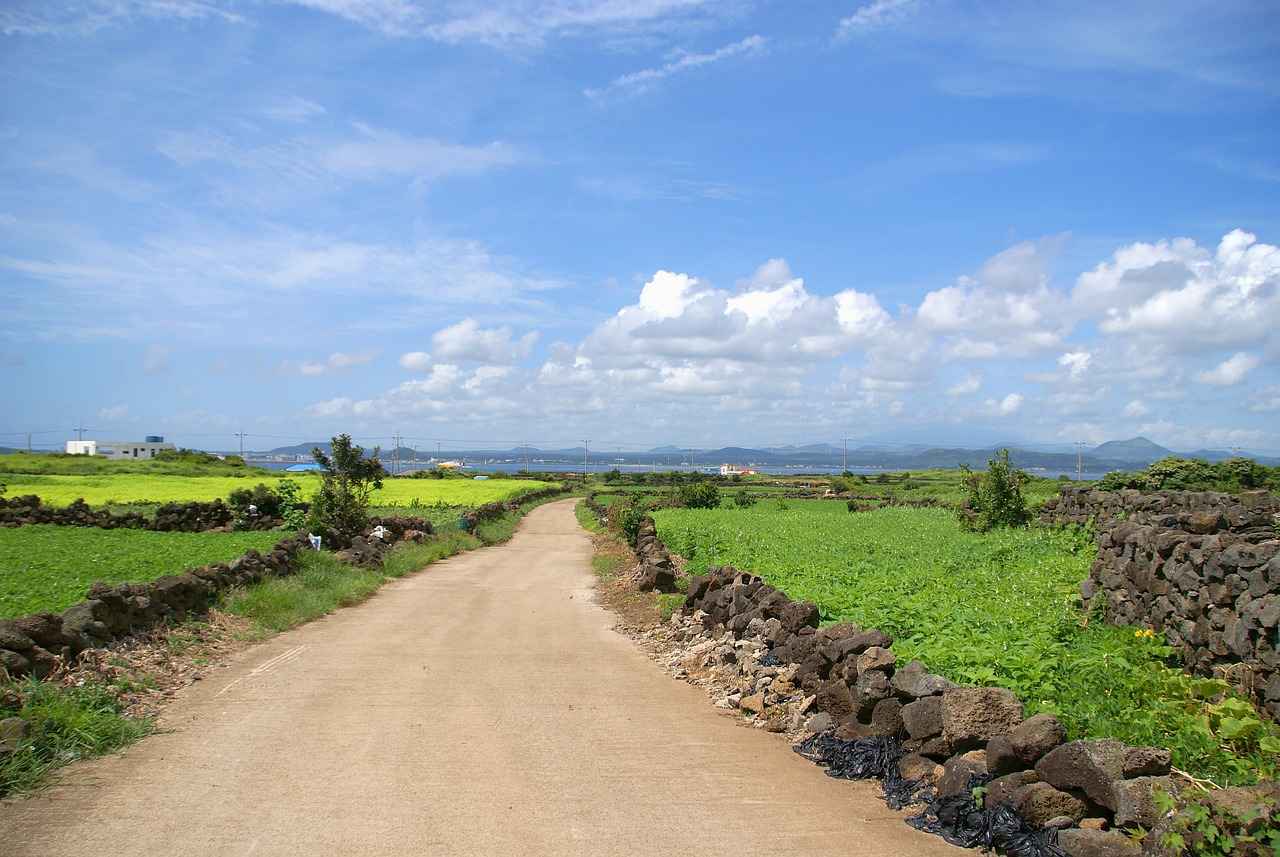 How L-Arginine Supports Circulation and Cardiovascular Health 5 Conclusion: The Importance of L-Arginine for Heart Health