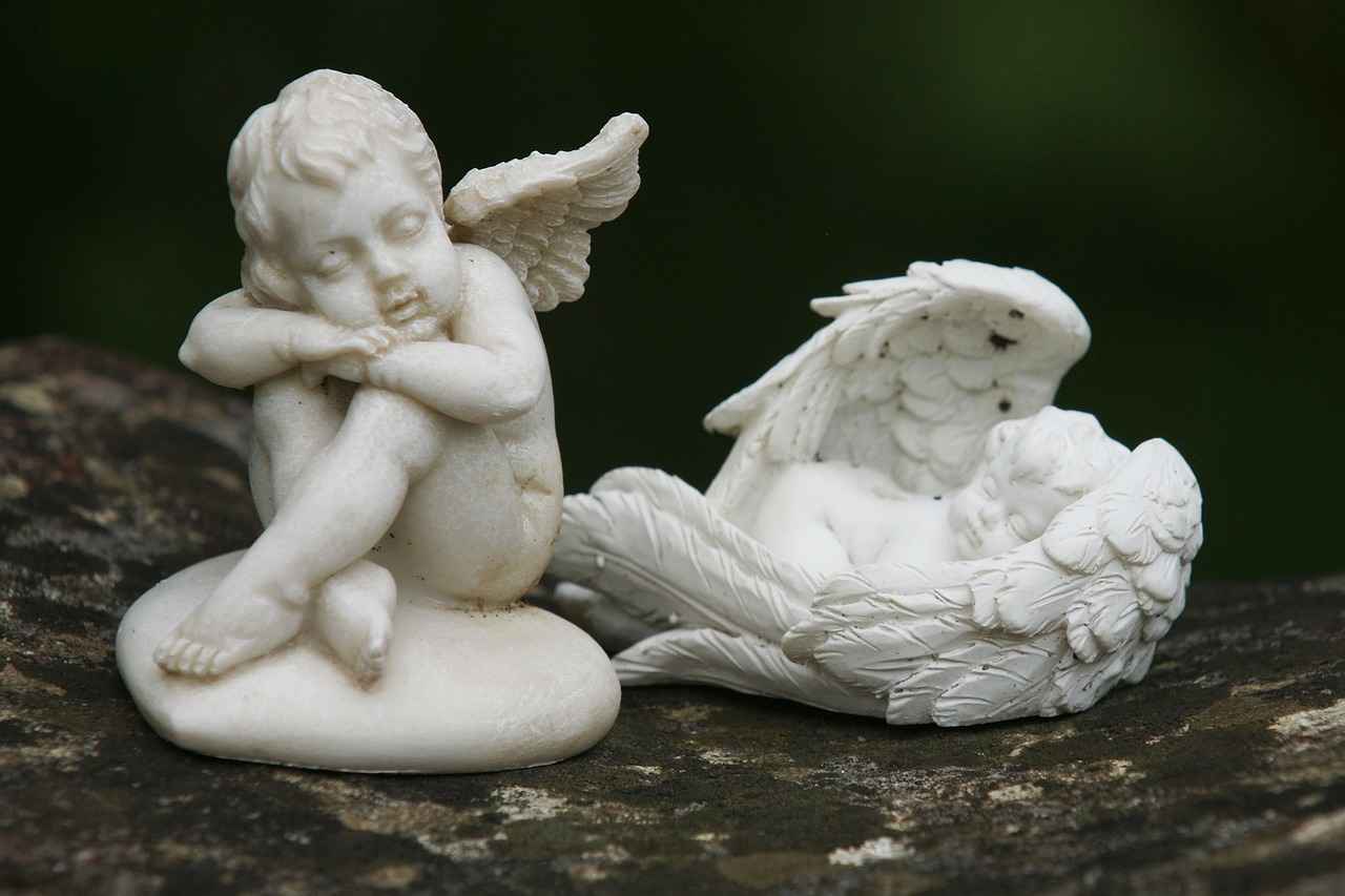 Power Your Workouts with the Benefits of BCAA Supplements Power Your Workouts with the Benefits of BCAA Supplements