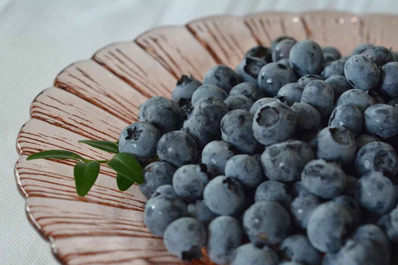 Health Benefits of Bilberry Extract
