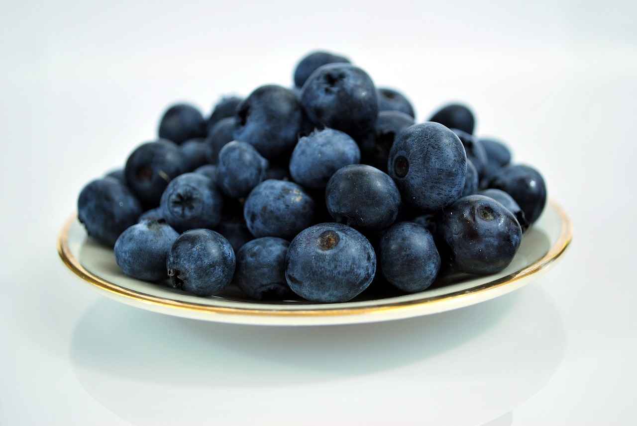 How to Incorporate Bilberry Extract into Your Diet