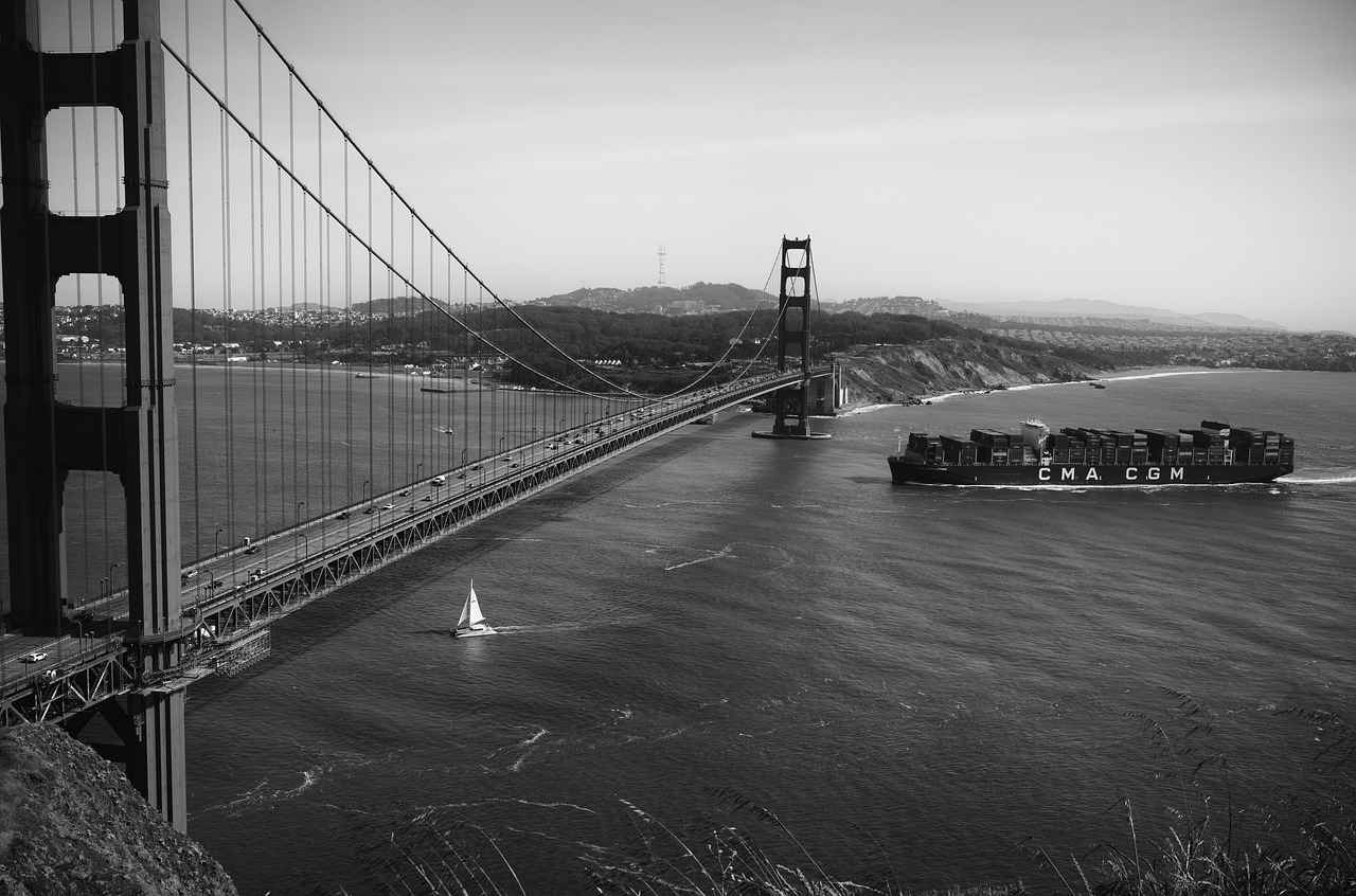 Dosage and Administration of Black Cohosh