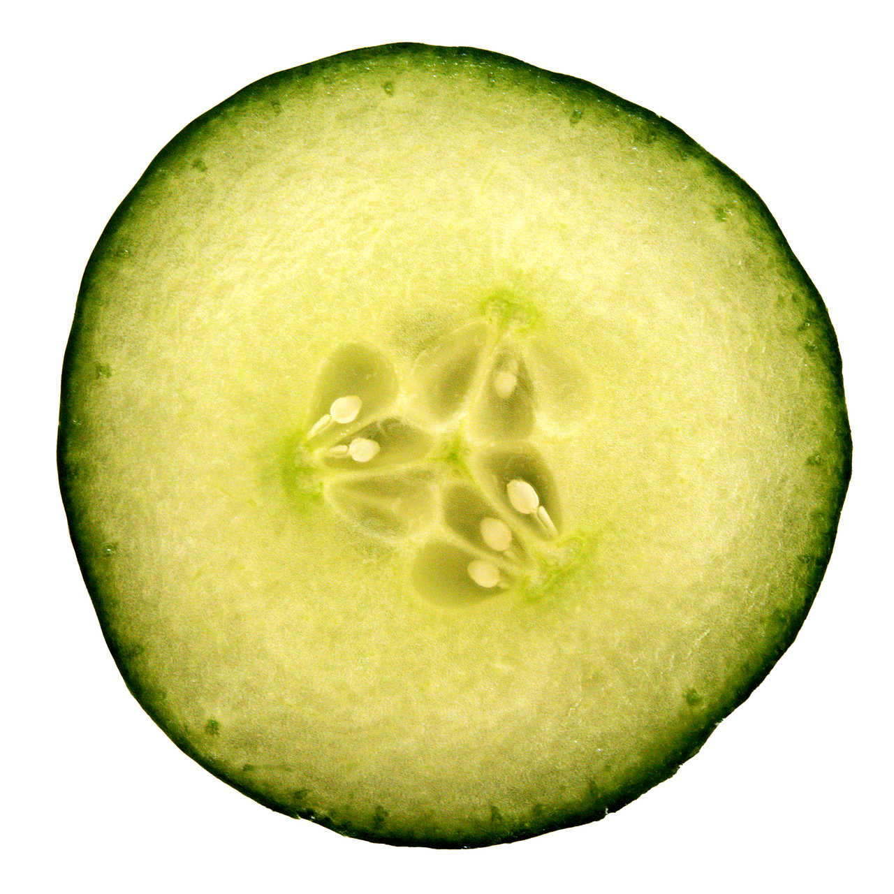 Why Hydration Matters for Muscle Performance