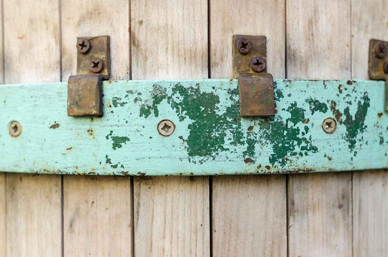 The Benefits of Grapeseed Extract for Antioxidant Support 1 What is Grapeseed Extract?