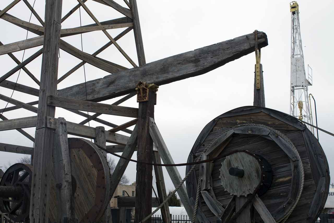 The Benefits of Grapeseed Extract for Antioxidant Support 6 Conclusion: The Value of Grapeseed Extract