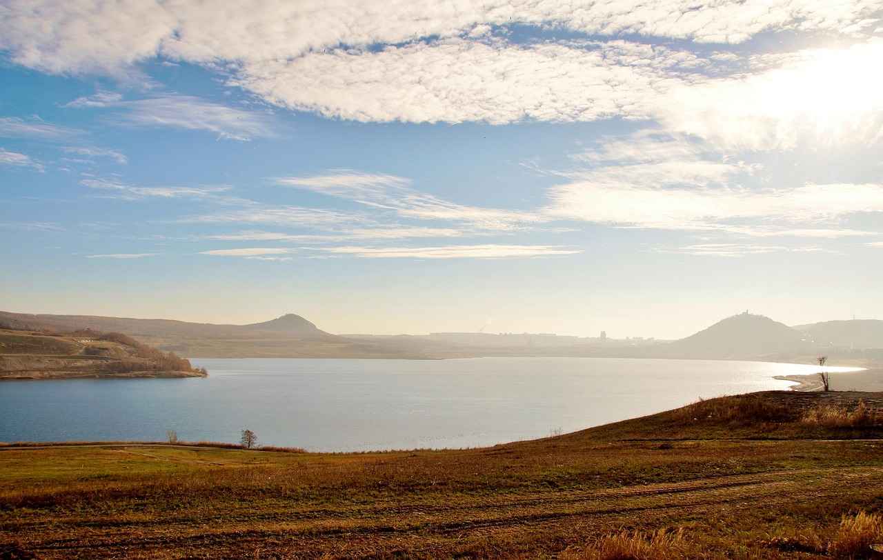 The Benefits of Grapeseed Extract for Antioxidant Support 3 Antioxidant Properties of Grapeseed Extract