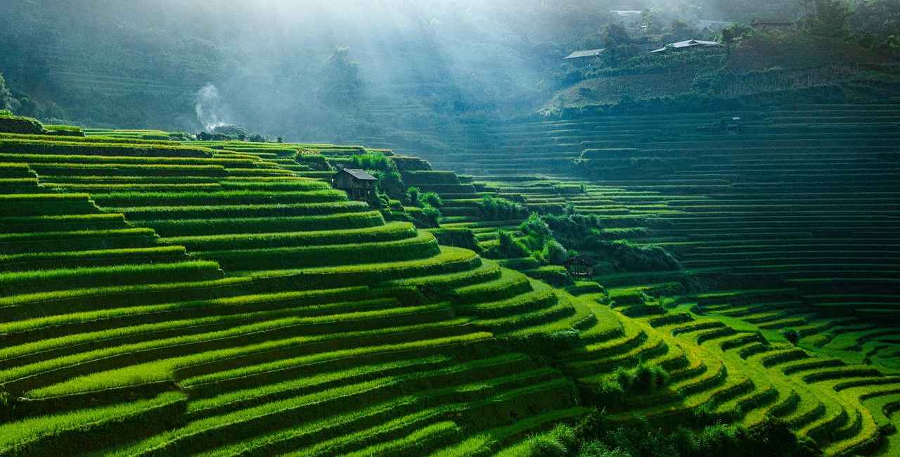 Conclusion: Is Red Yeast Rice Right for You?