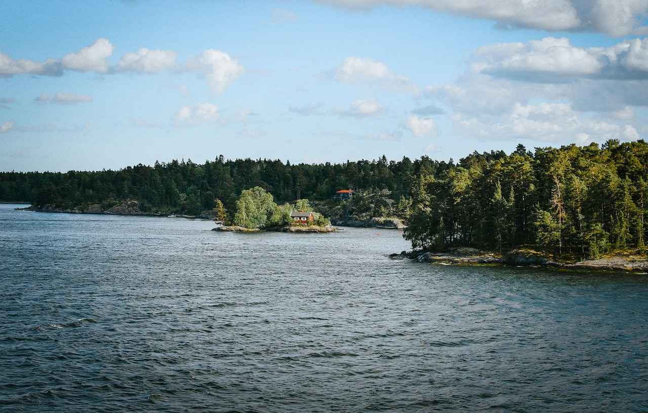 What Are Swedish Bitters?