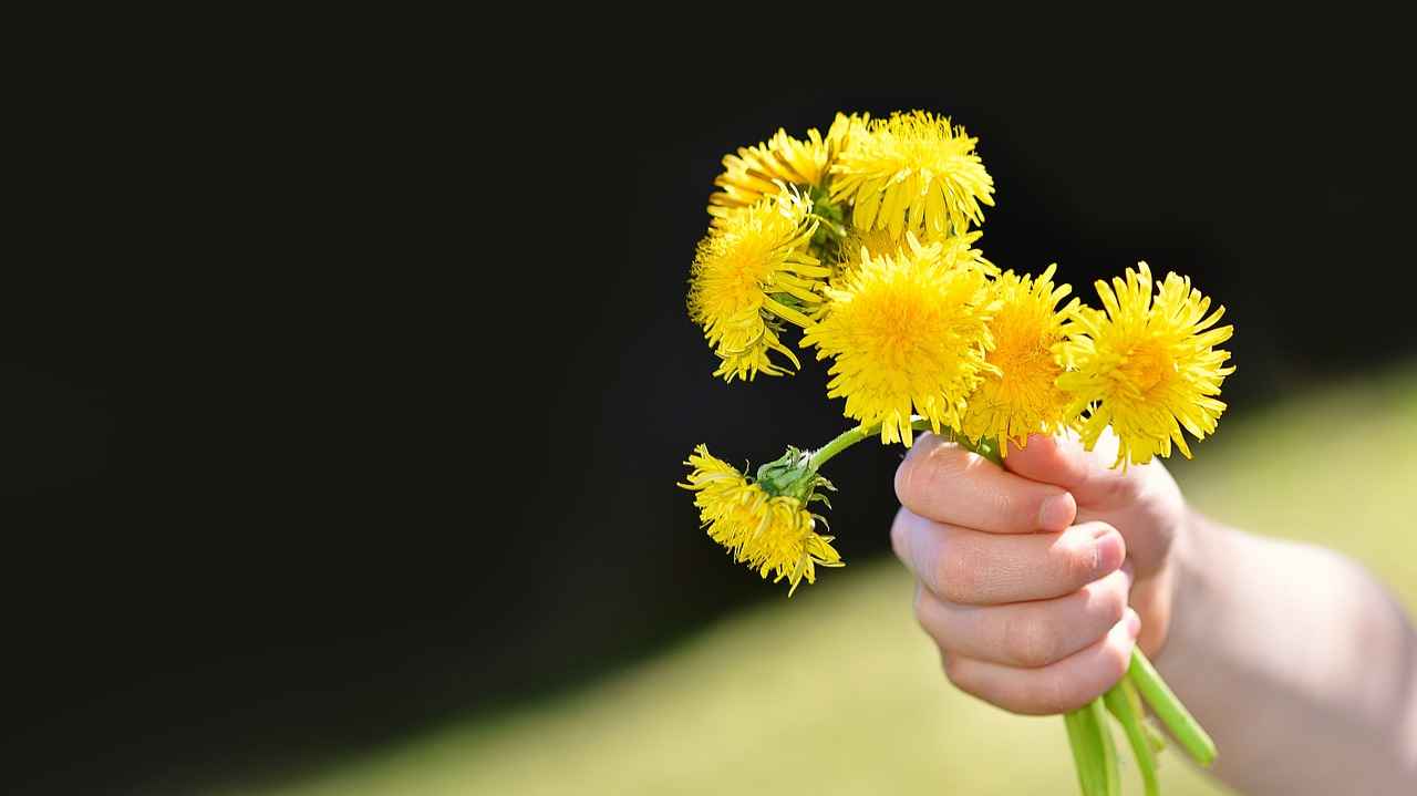 How Does Dandelion Root Support Liver Health?