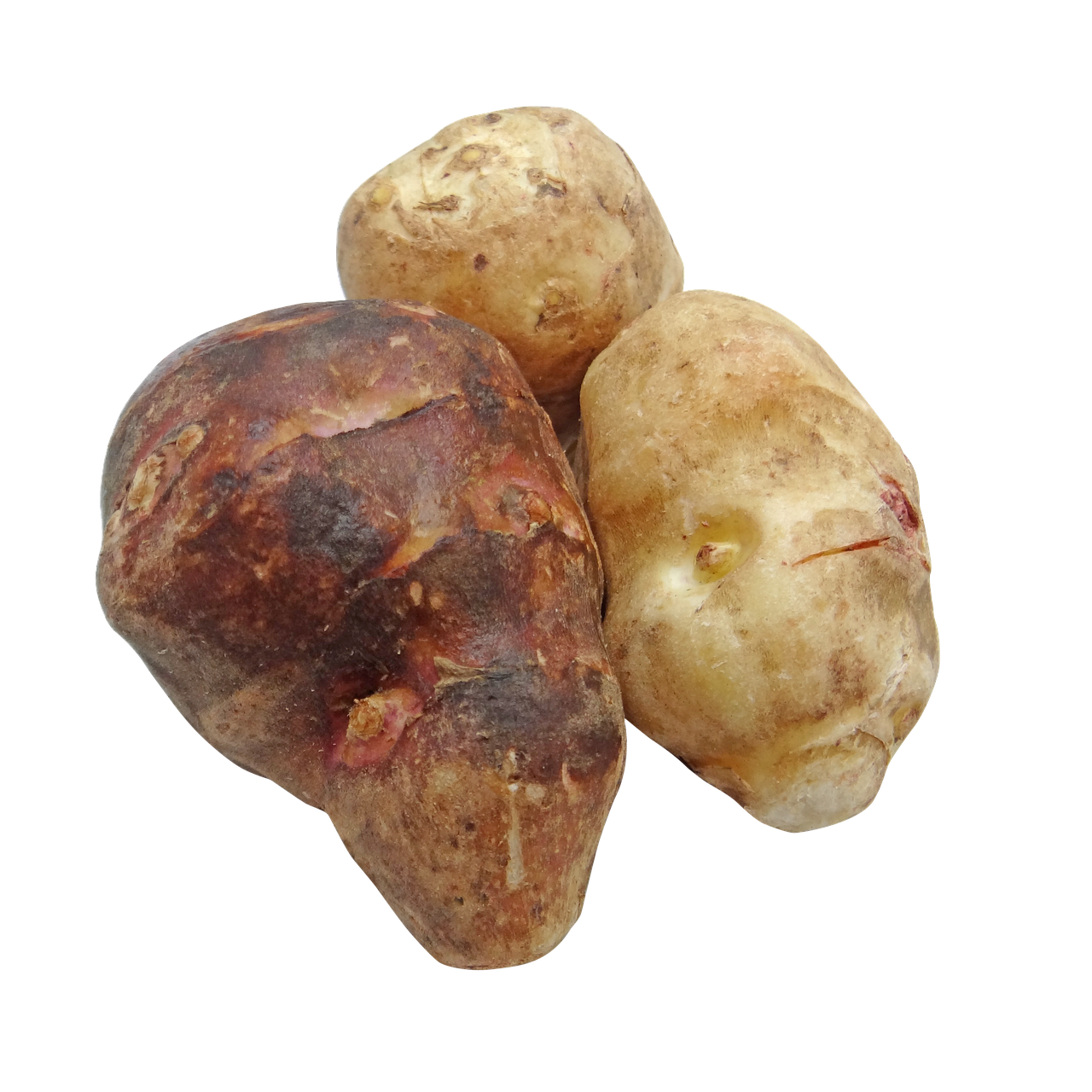 The Liver-Supportive Benefits of Artichoke Leaf Extract 4 How to Incorporate Artichoke Leaf Extract into Your Diet