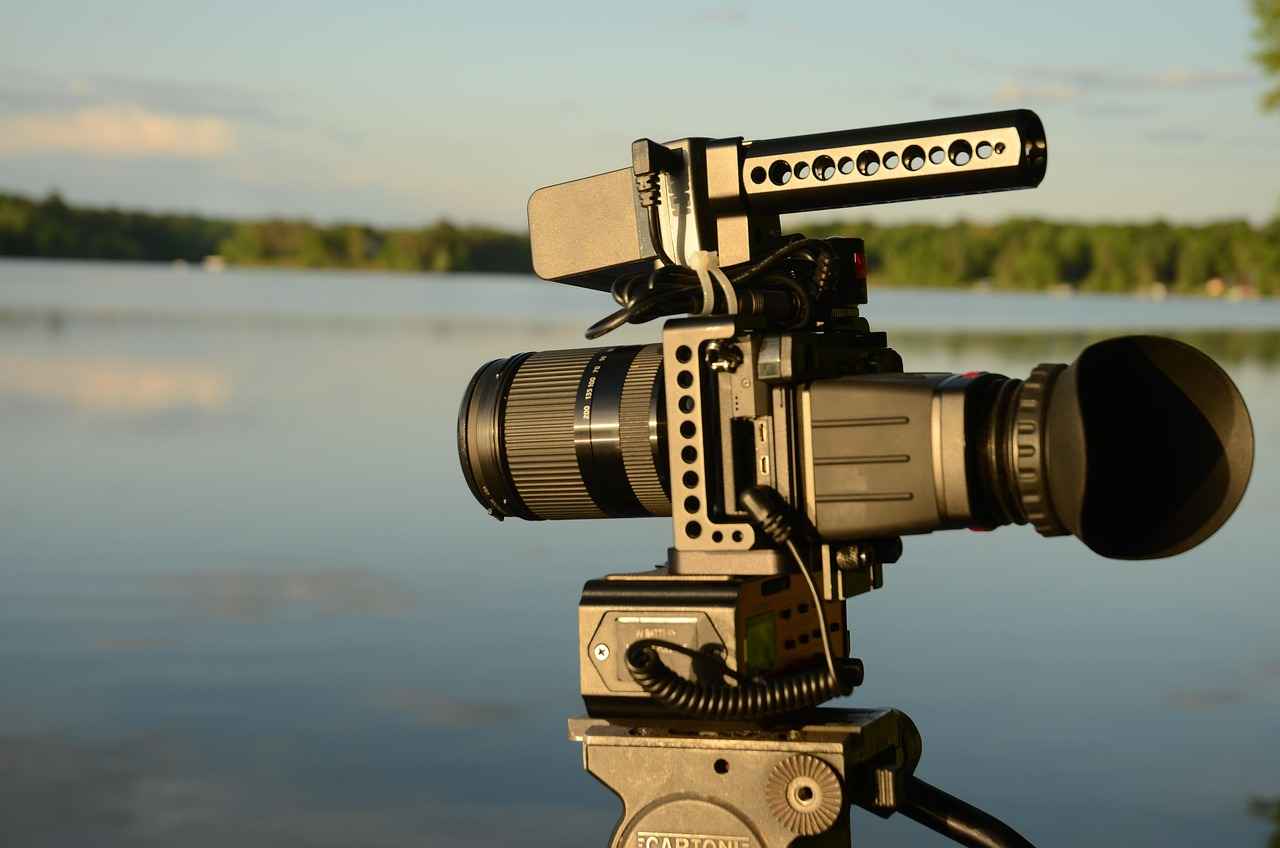 How Does Alpha-Lipoic Acid Work?