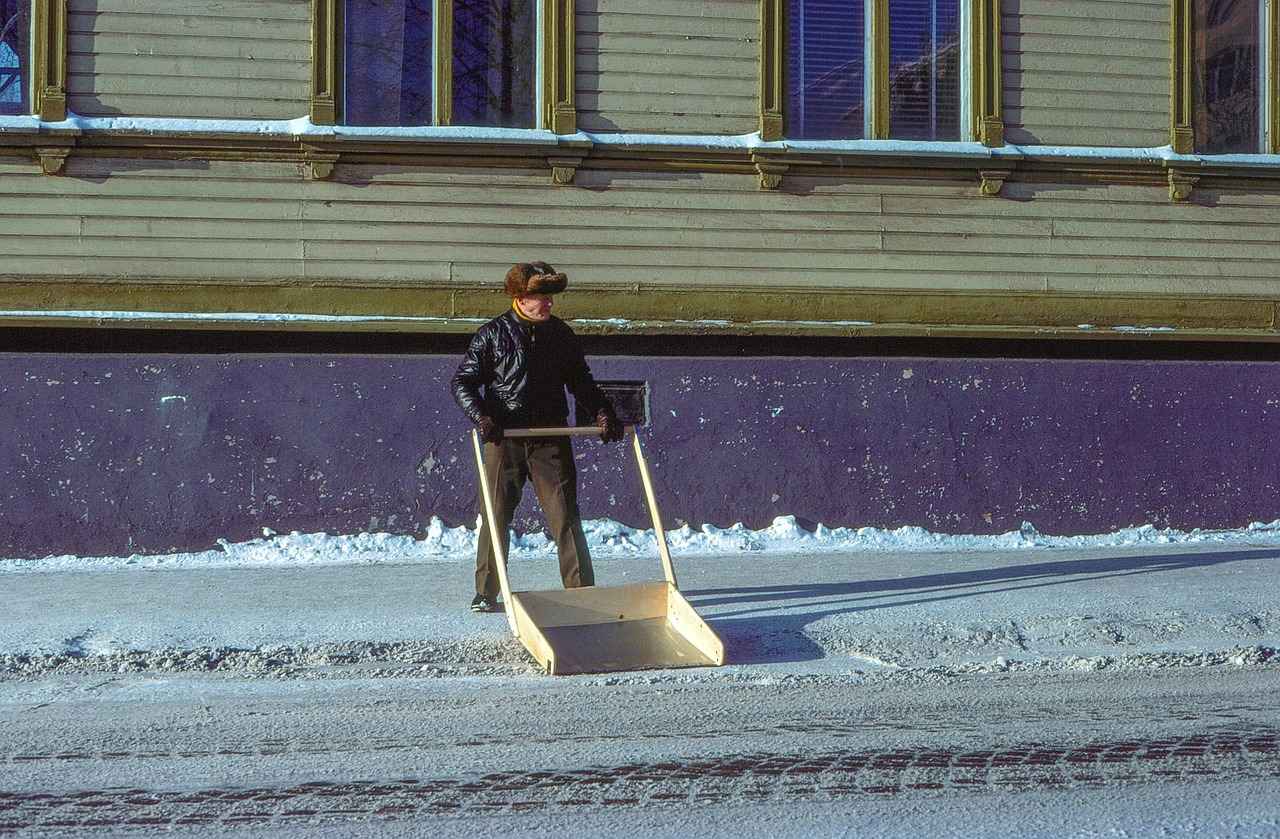 The Skin-Nourishing Benefits of Gotu Kola 4 How to Incorporate Gotu Kola into Your Routine