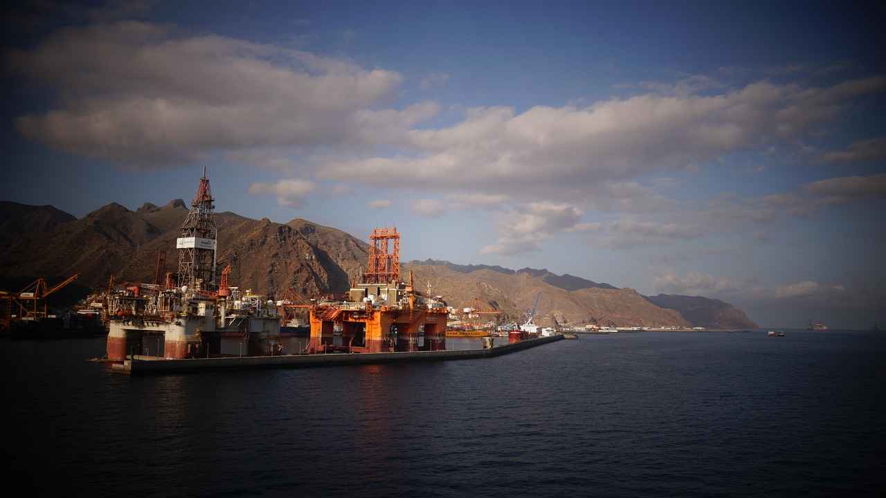 The Skin-Supporting Benefits of Vitamin E Oil 5 Conclusion: Embracing Vitamin E Oil in Your Skincare Routine