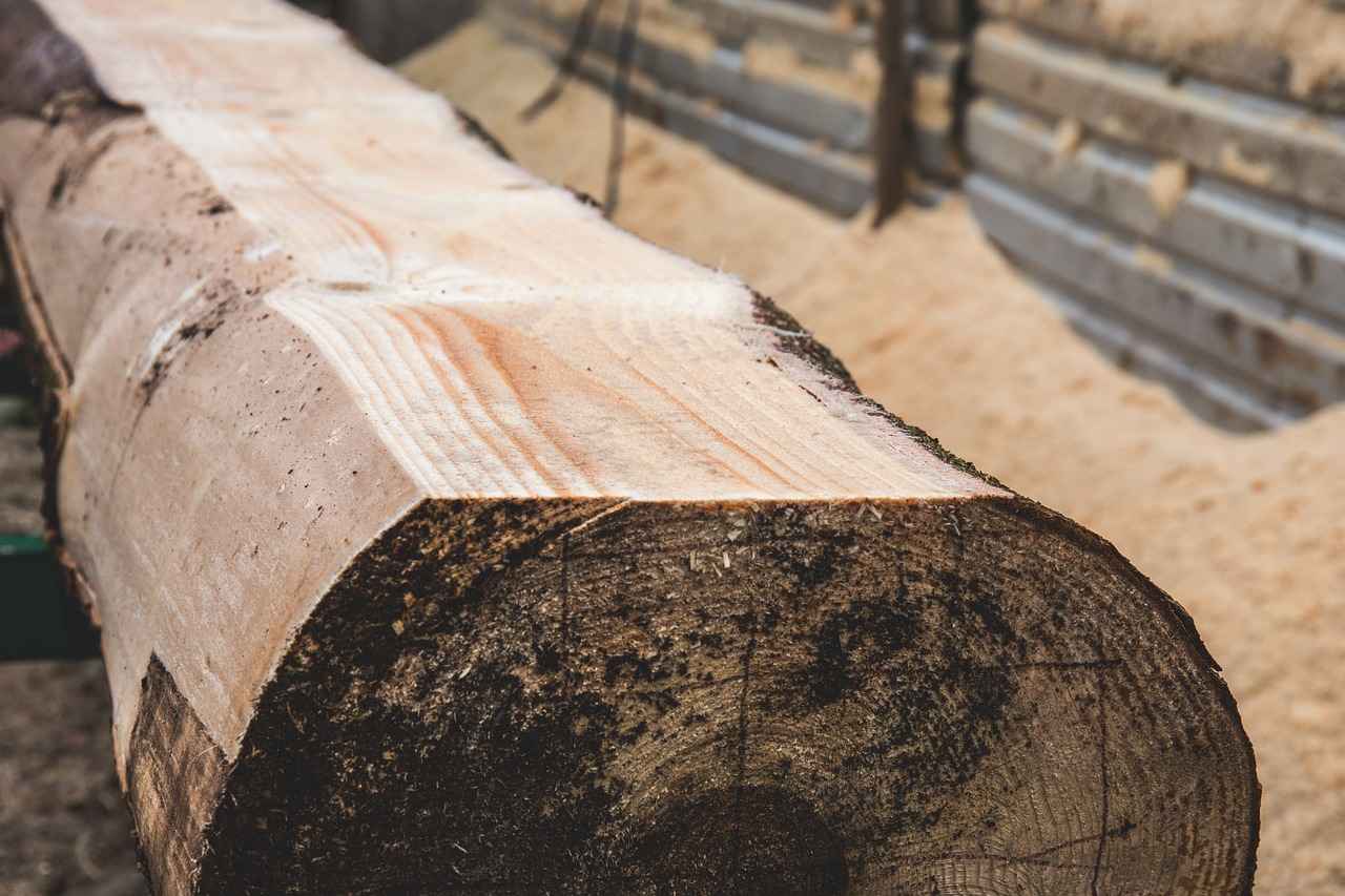 Dosage and Forms of Saw Palmetto