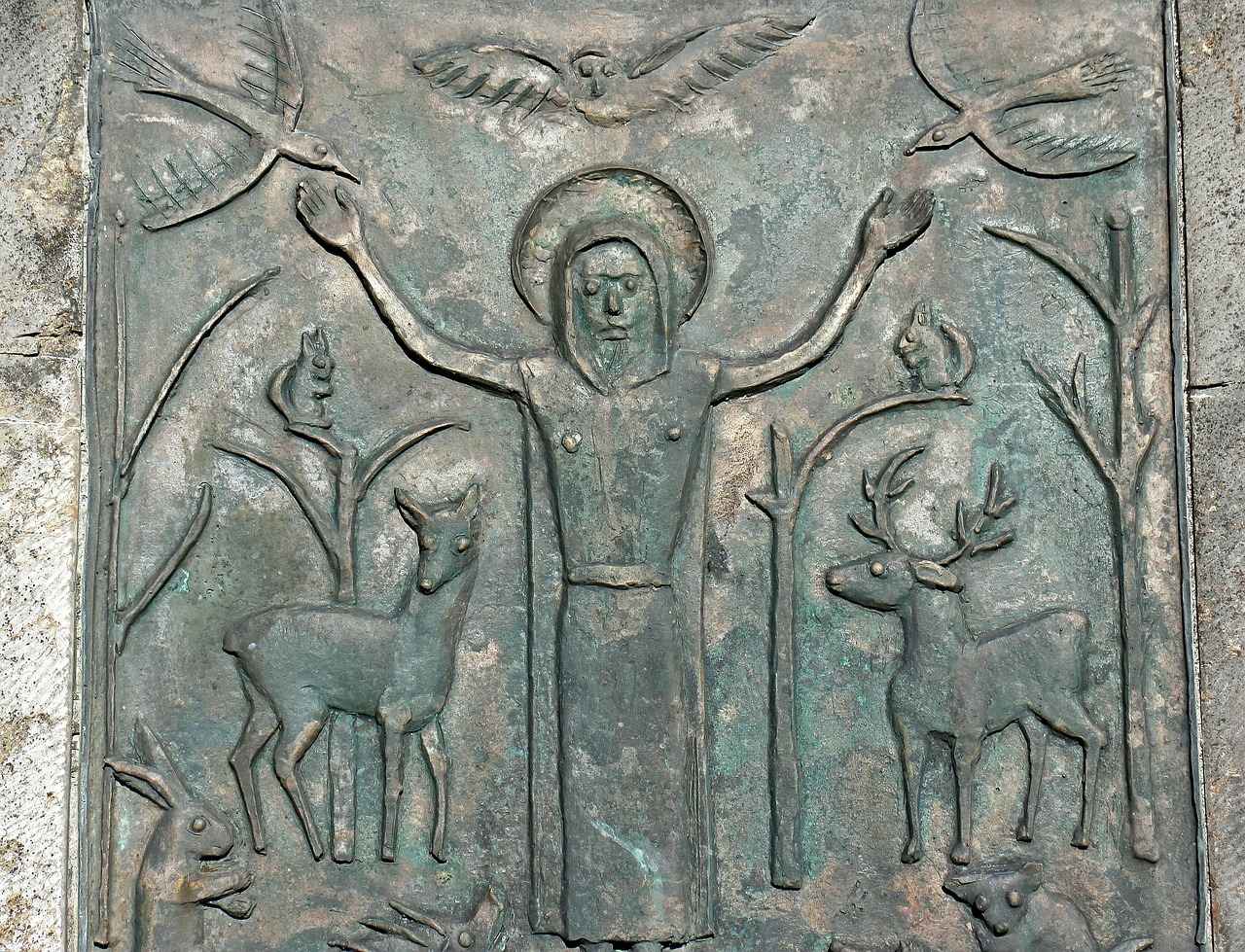 Why Serrapeptase is Gaining Popularity for Inflammation Relief 4 How to Use Serrapeptase Safely