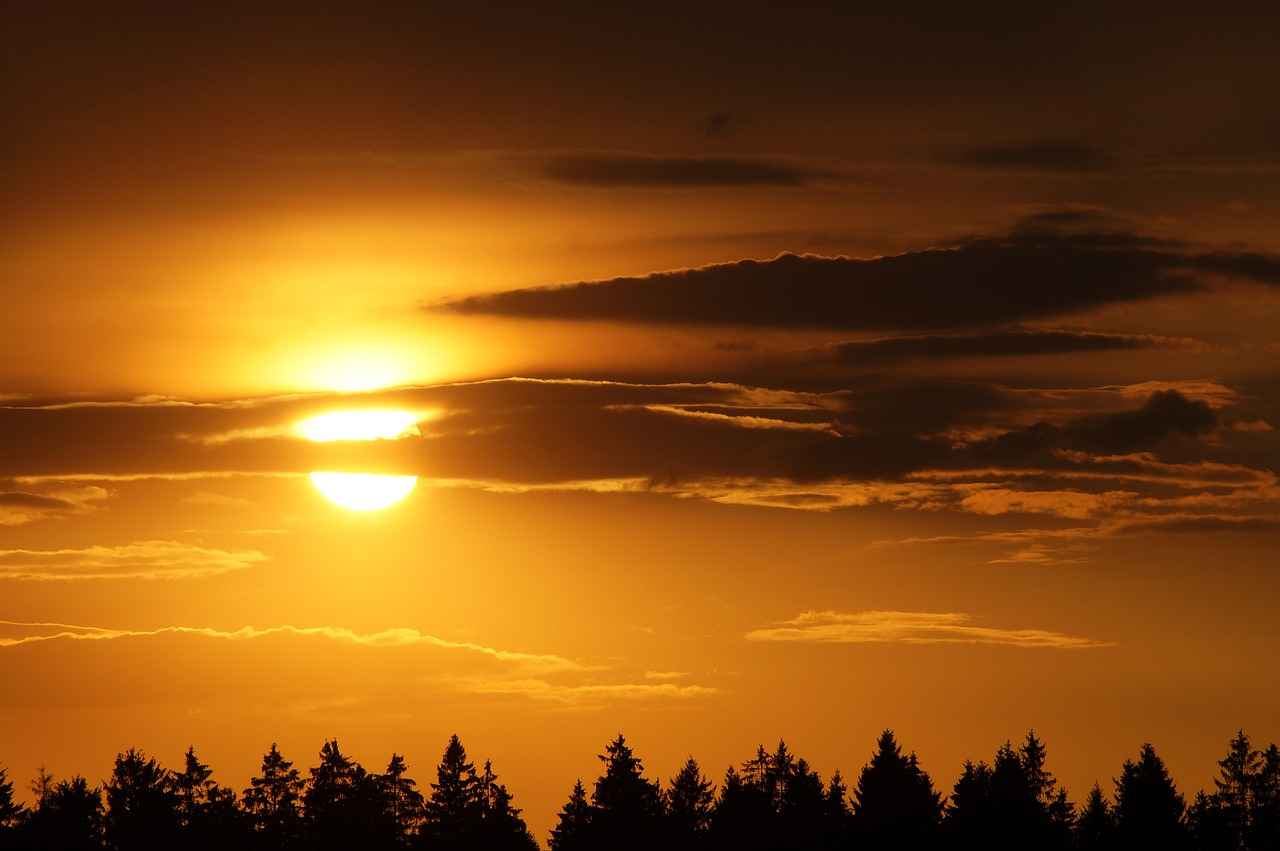 Why Vitamin D3 is Essential for Immune Support 2 How Does Vitamin D3 Enhance Immune Function?