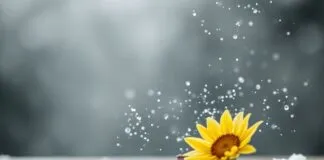 The Impact of Weather on Mental Health: How to Stay Balanced Year-Round The Impact of Weather on Mental Health: How to Stay Balanced Throughout the Year