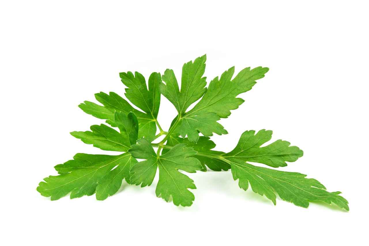 Potential Side Effects and Precautions