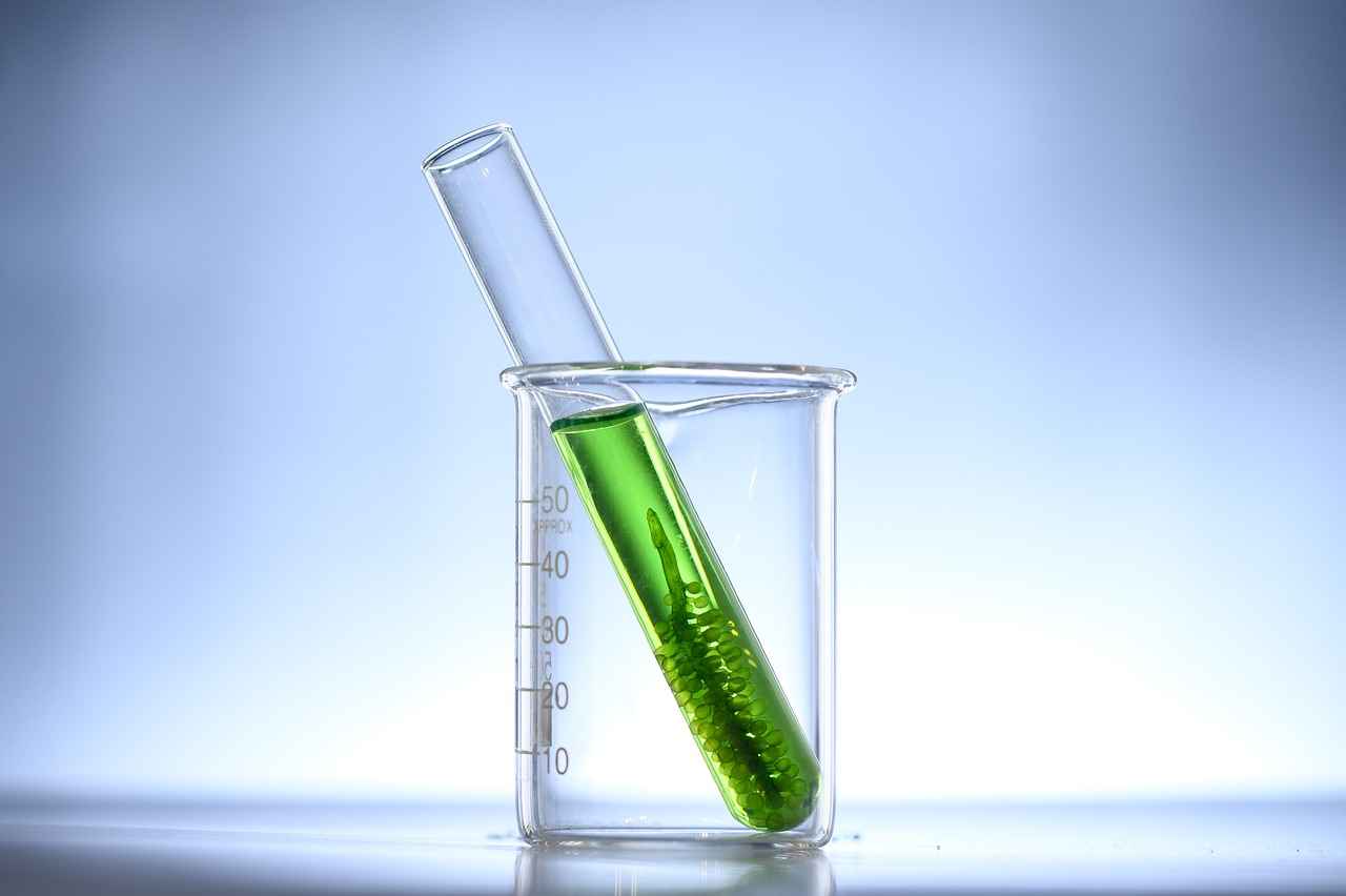 Chlorella: The Superfood Algae with Detoxifying Properties
