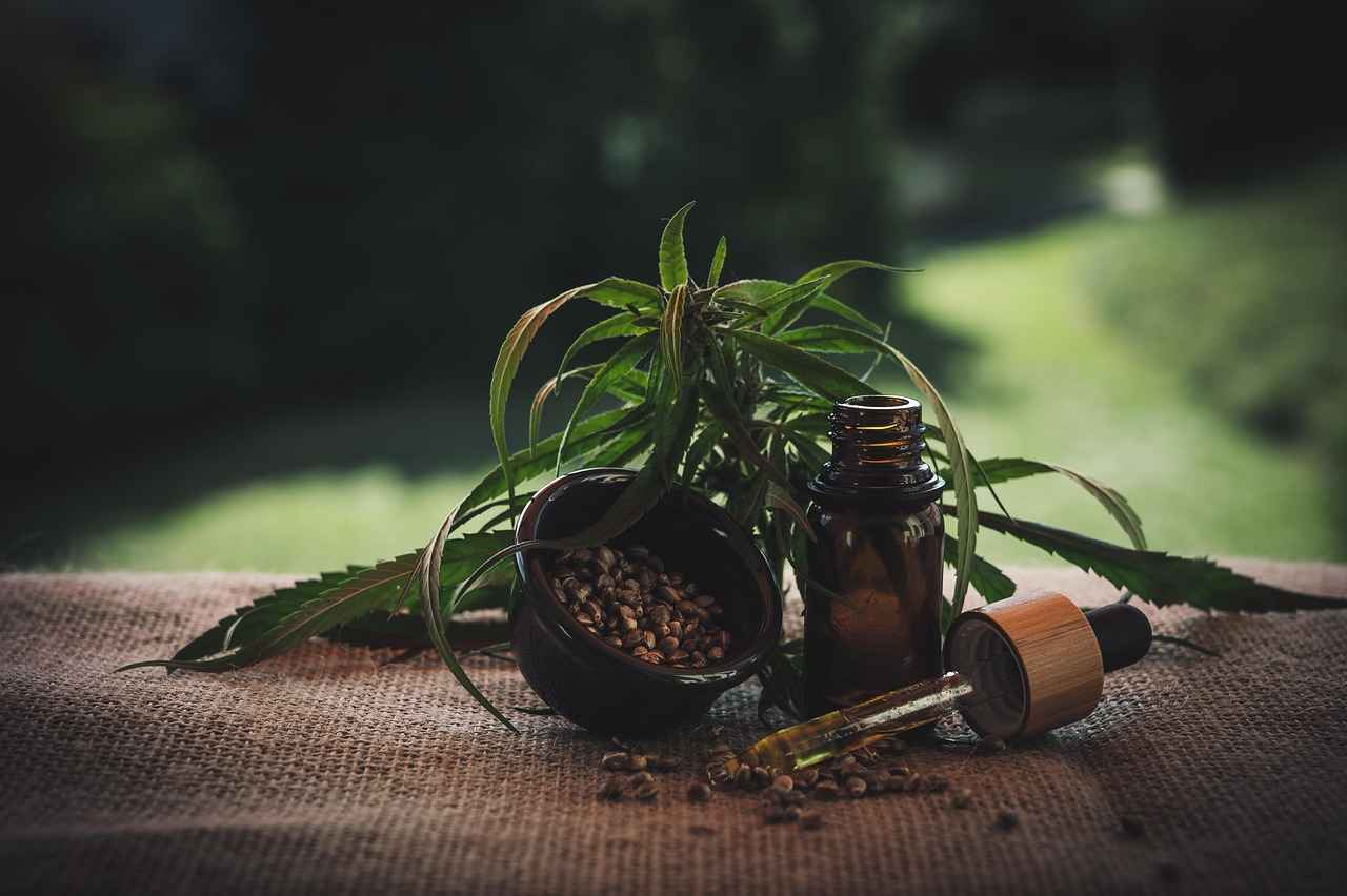 Conclusion: The Value of Safflower Oil
