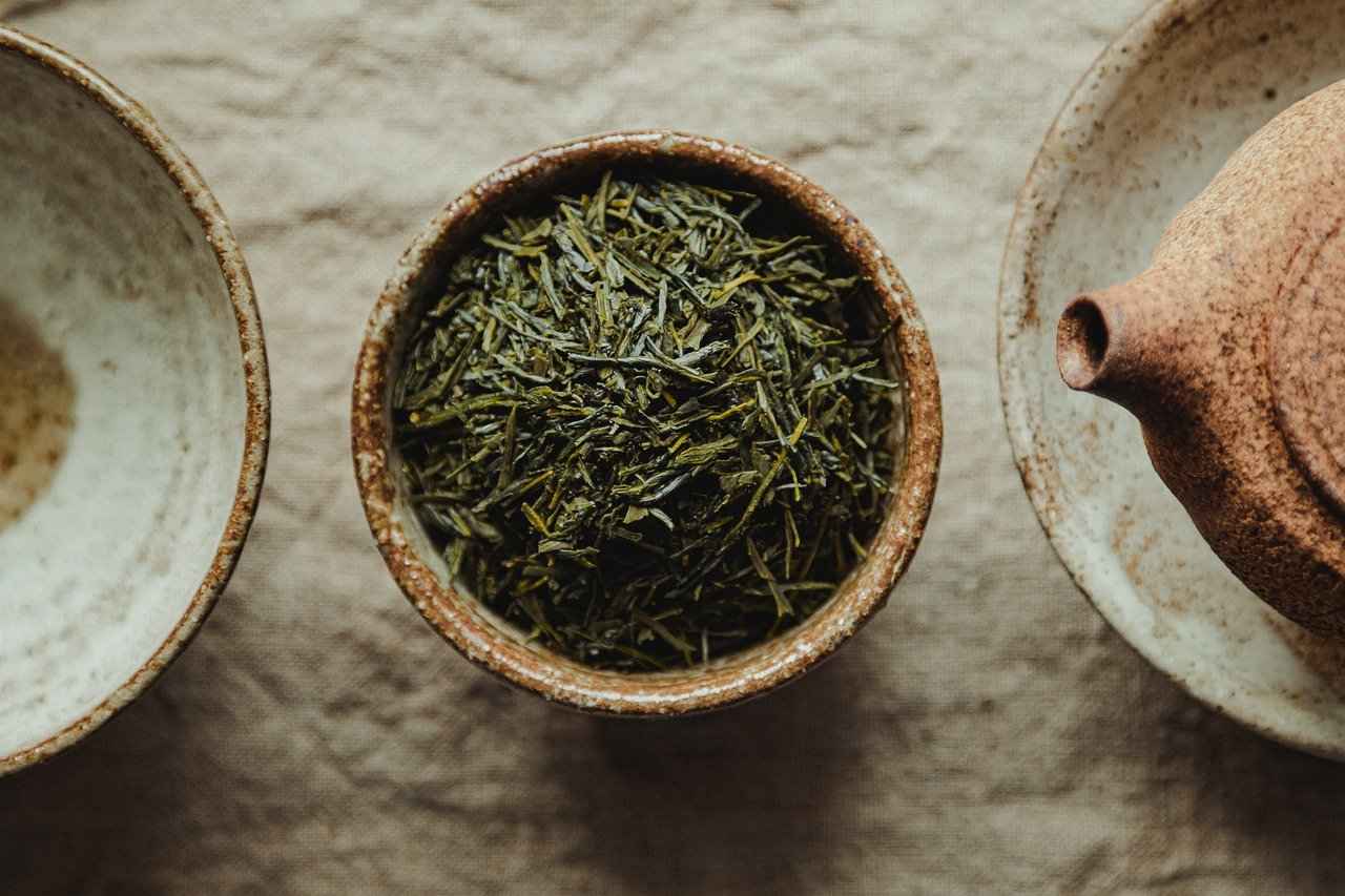 Exploring the Antioxidant Benefits of Green Tea Extract