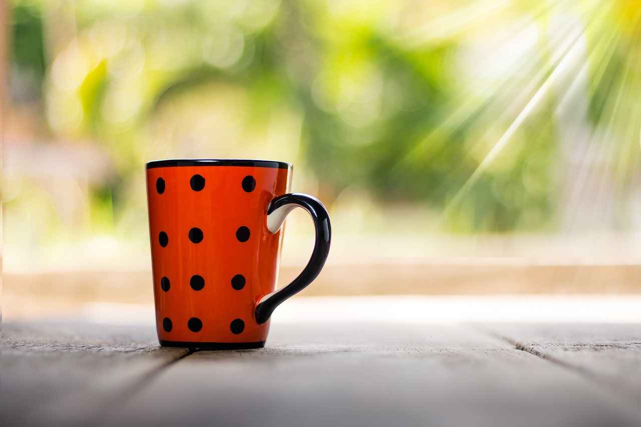 What is Green Tea Extract?