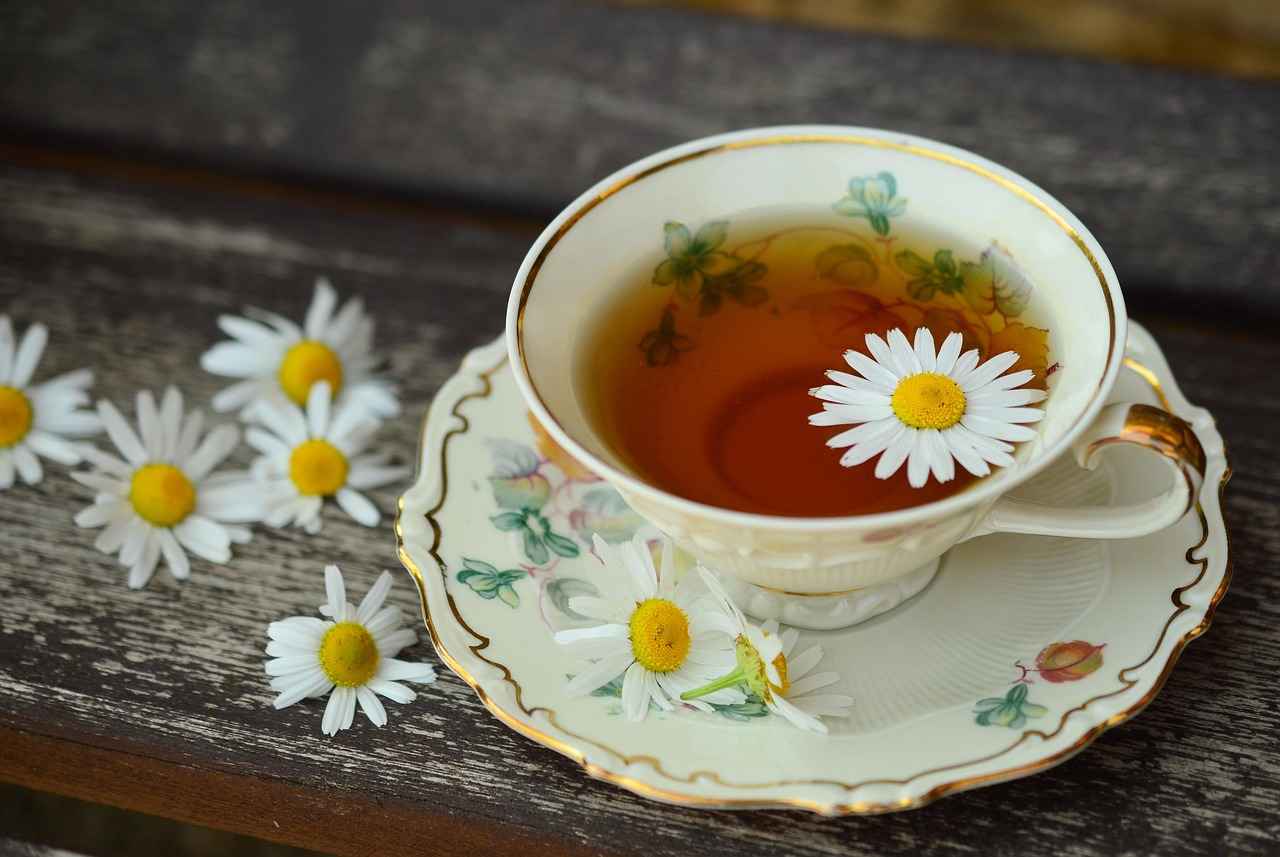Incorporating Green Tea Extract into Your Diet