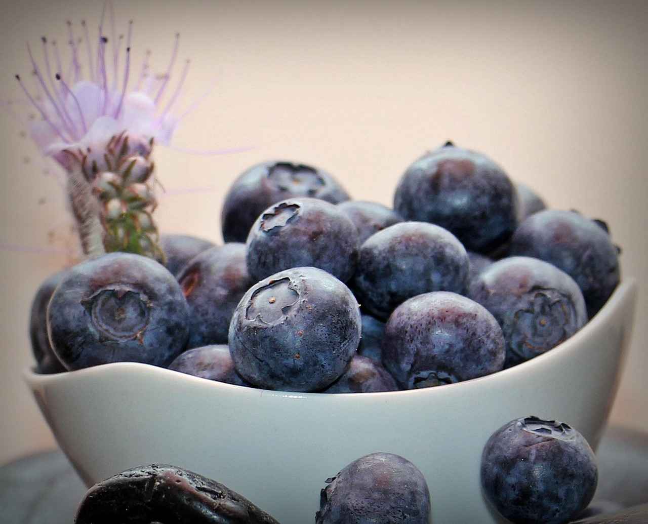 Conclusion: The Power of Amla Berry