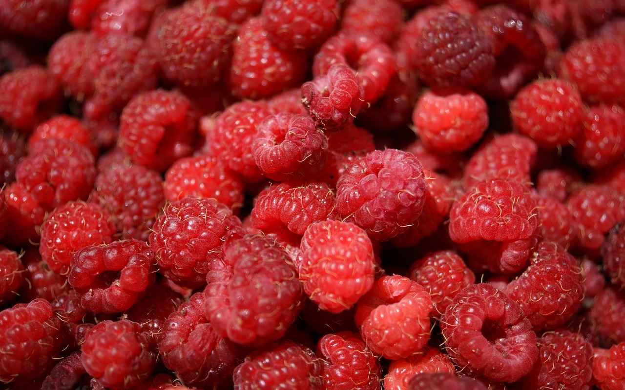 Nutritional Profile of Amla Berry