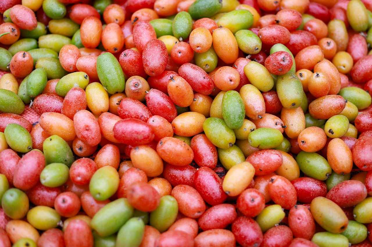 Dietary Sources of Vitamin B6