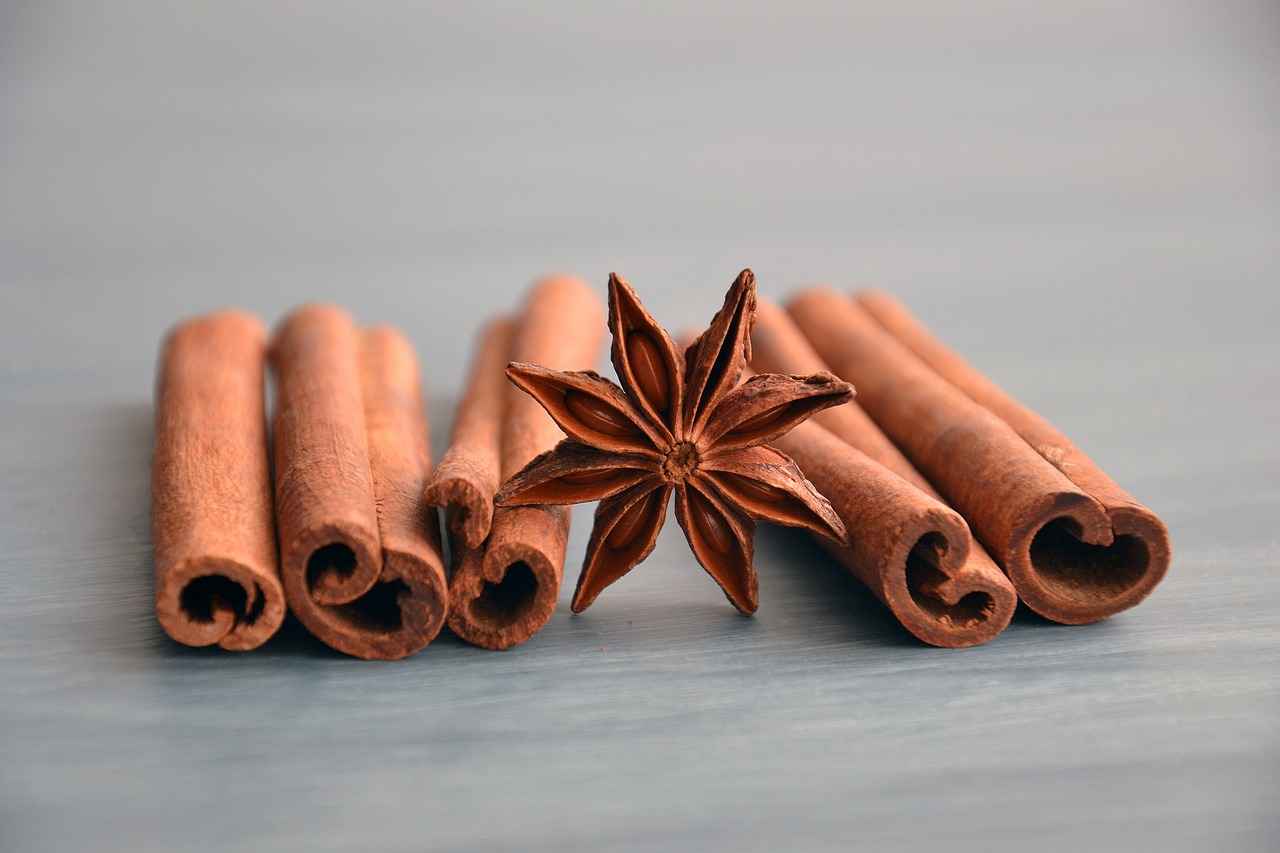 What is Cinnamon Bark?