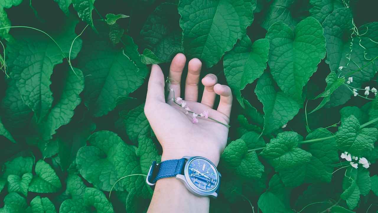 How Does Vincamine Work?