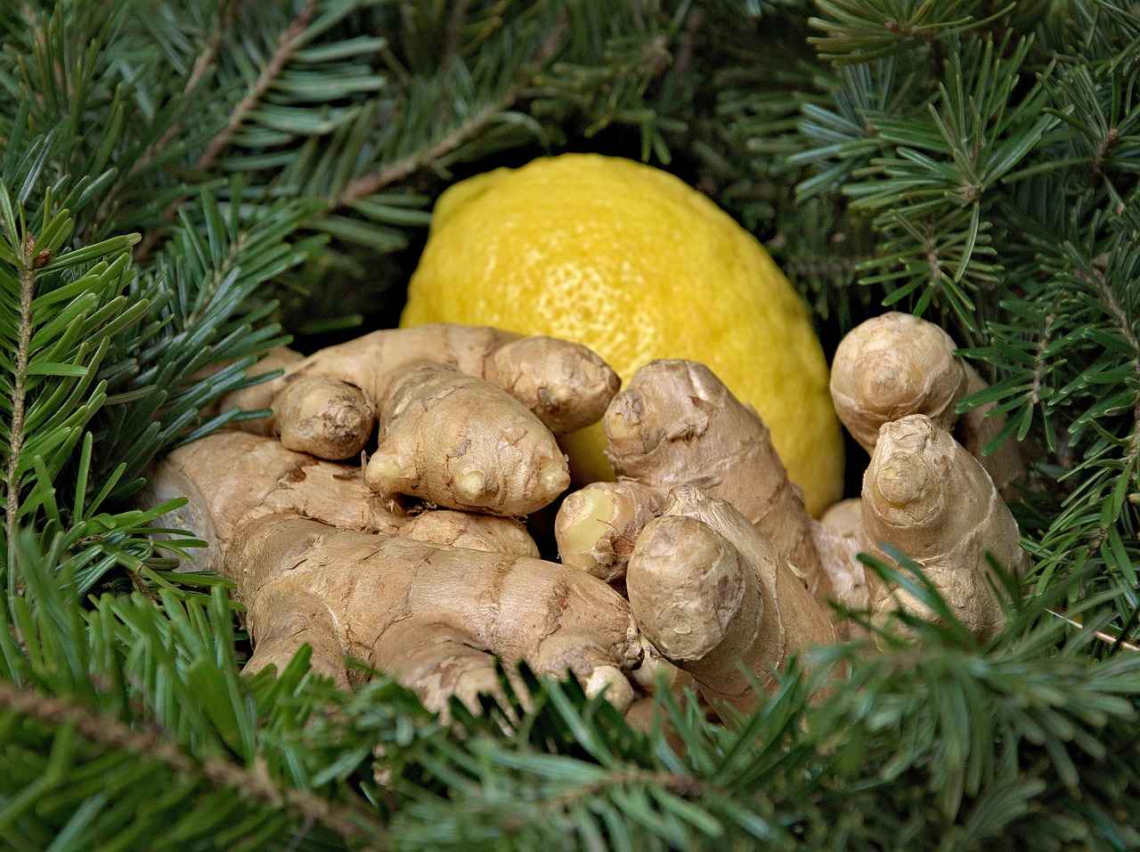 What is Valerian Root?
