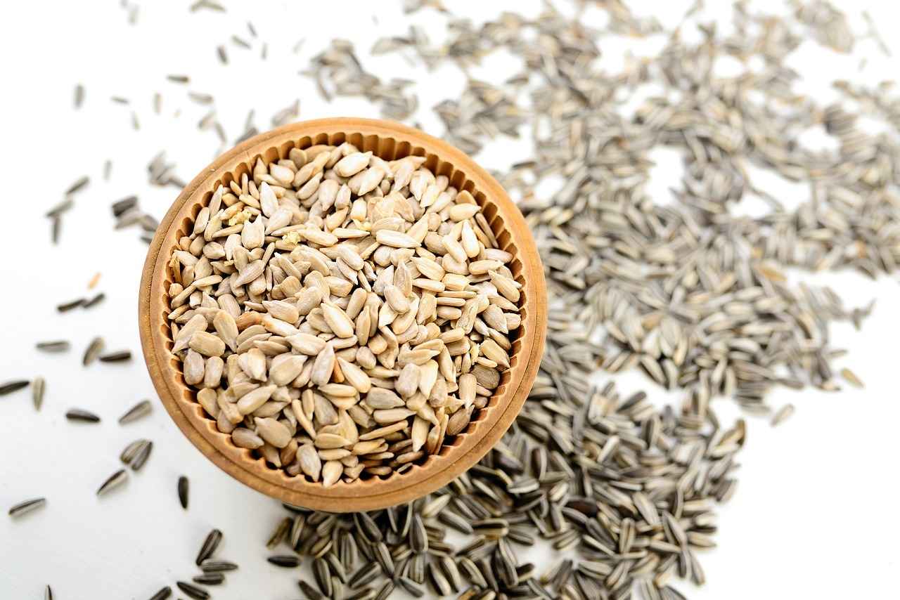 Exploring the Connection Between Sunflower Lecithin and Brain Health