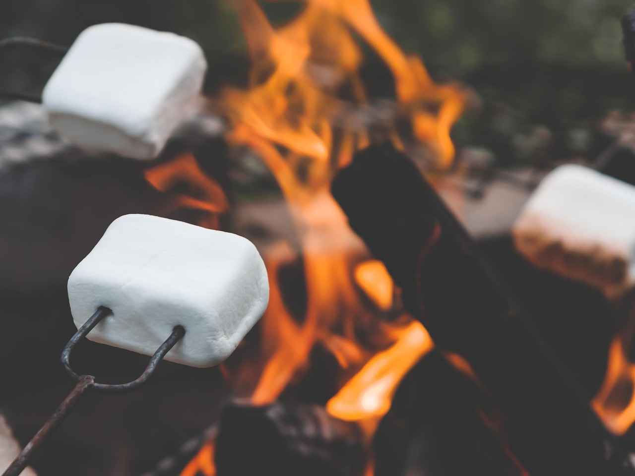 Forms of Marshmallow Root Available