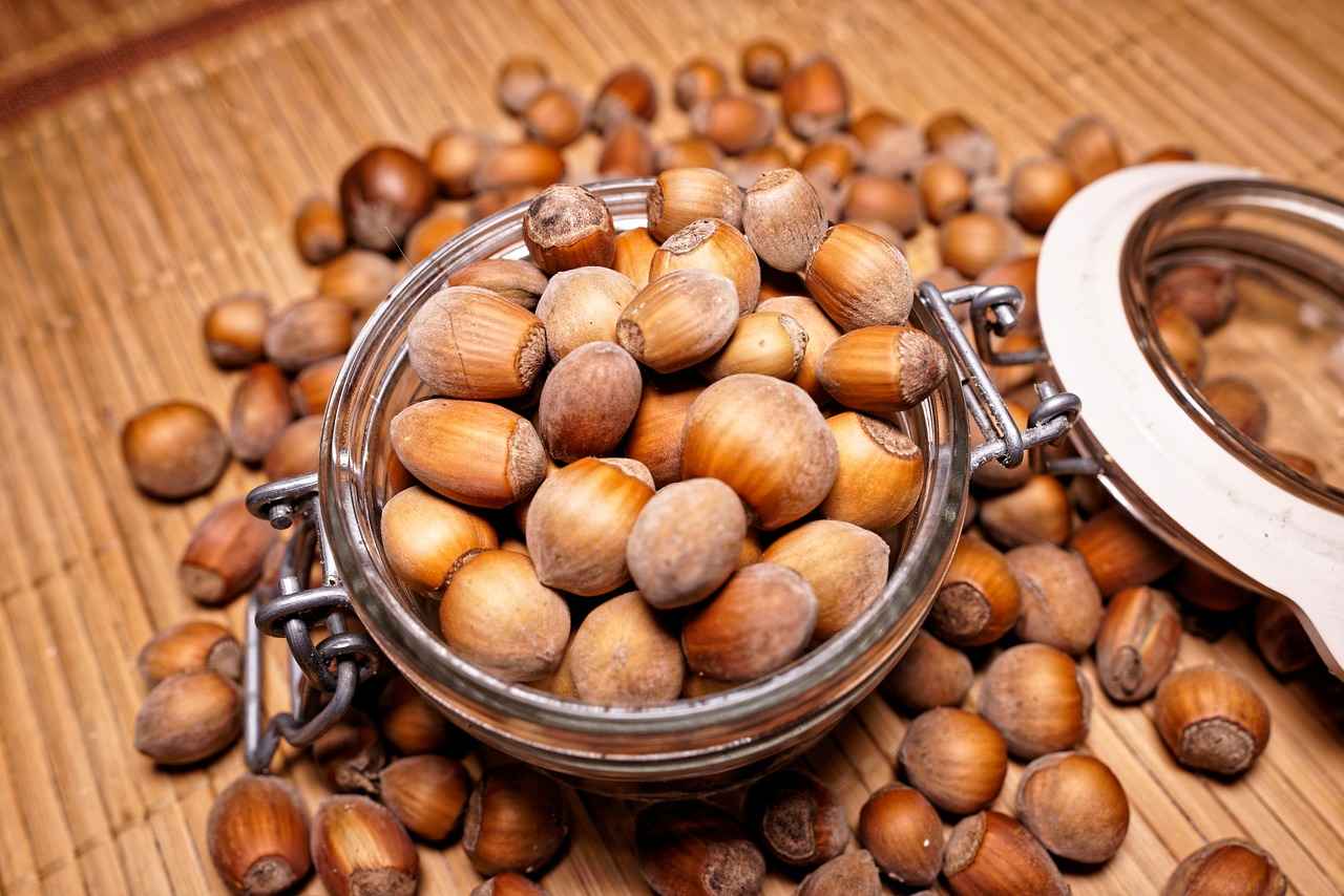 Exploring the Energy-Enhancing Properties of Kola Nut