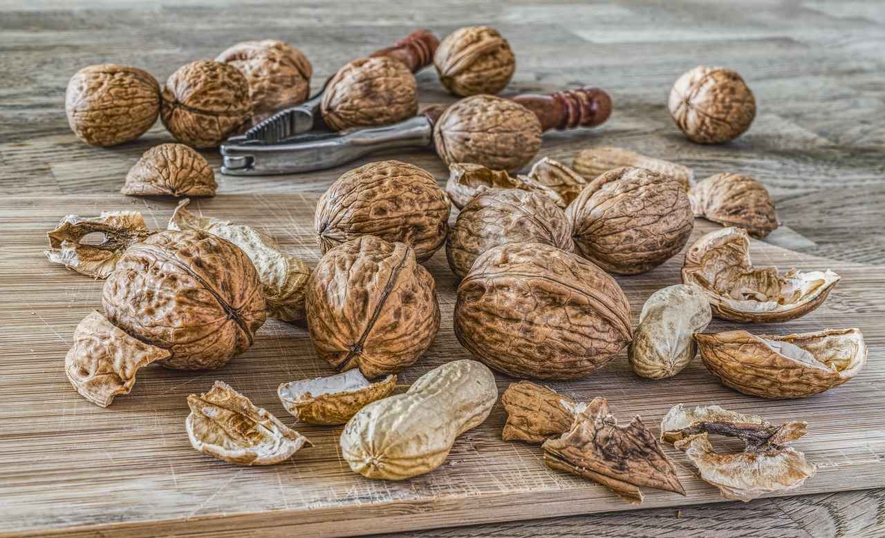 Conclusion: The Future of Kola Nut