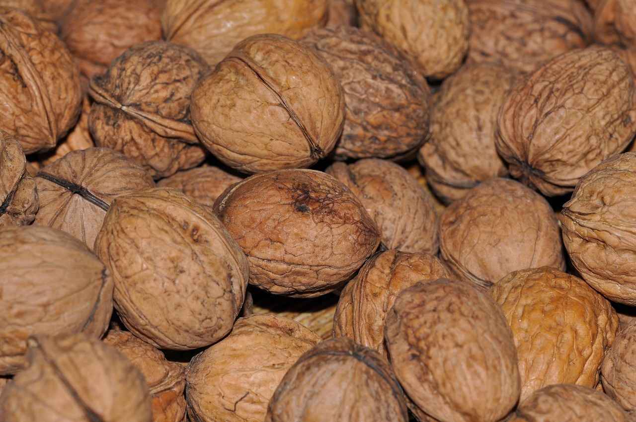 Nutritional Profile of Kola Nut