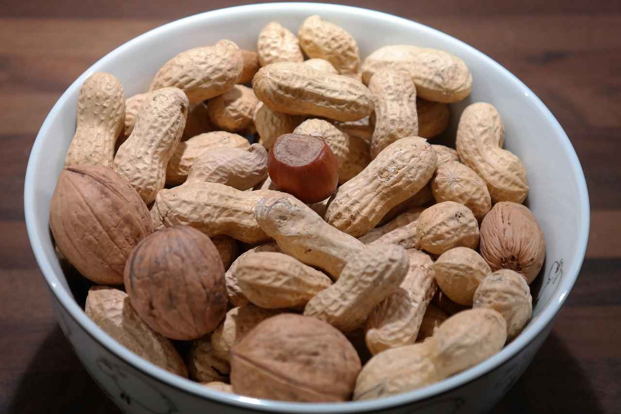 Kola Nut in Modern Nutrition