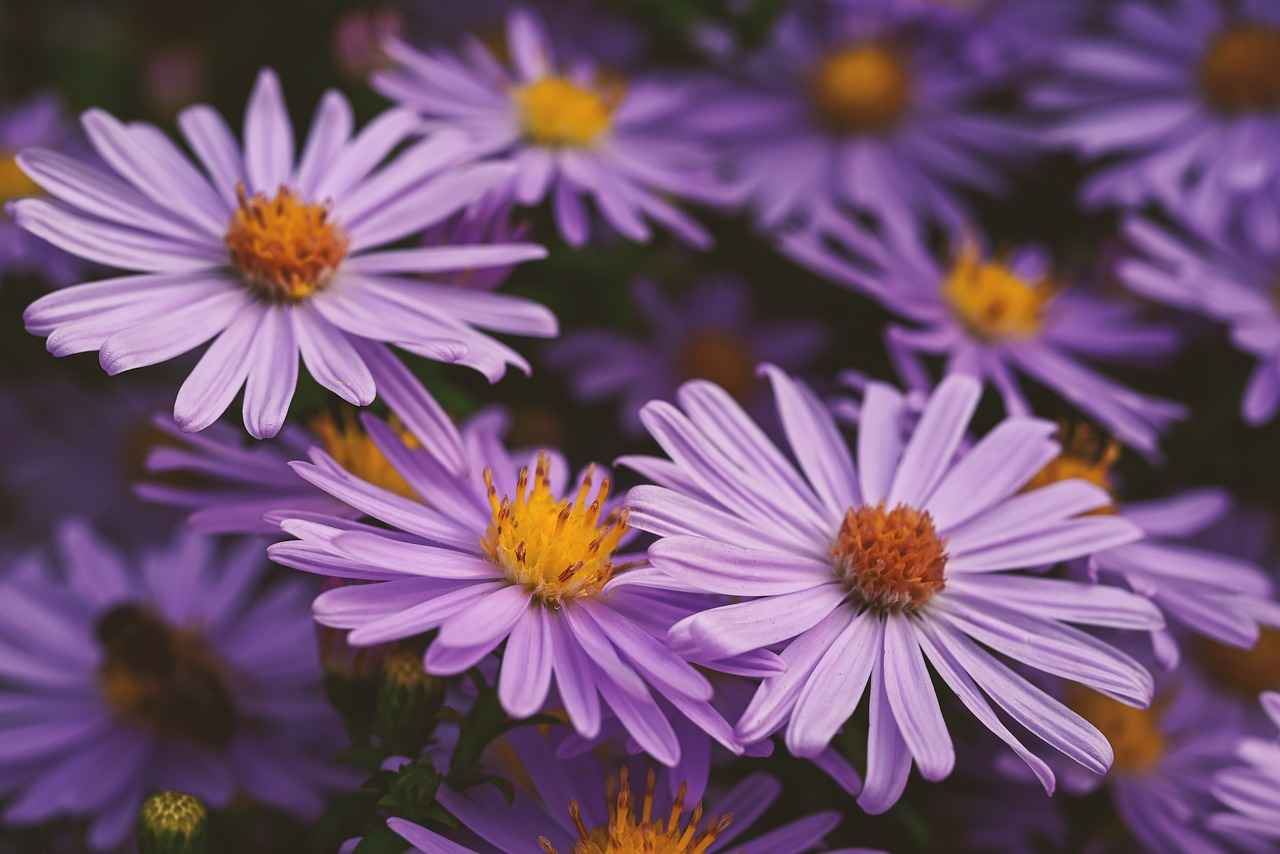 Potential Side Effects and Precautions