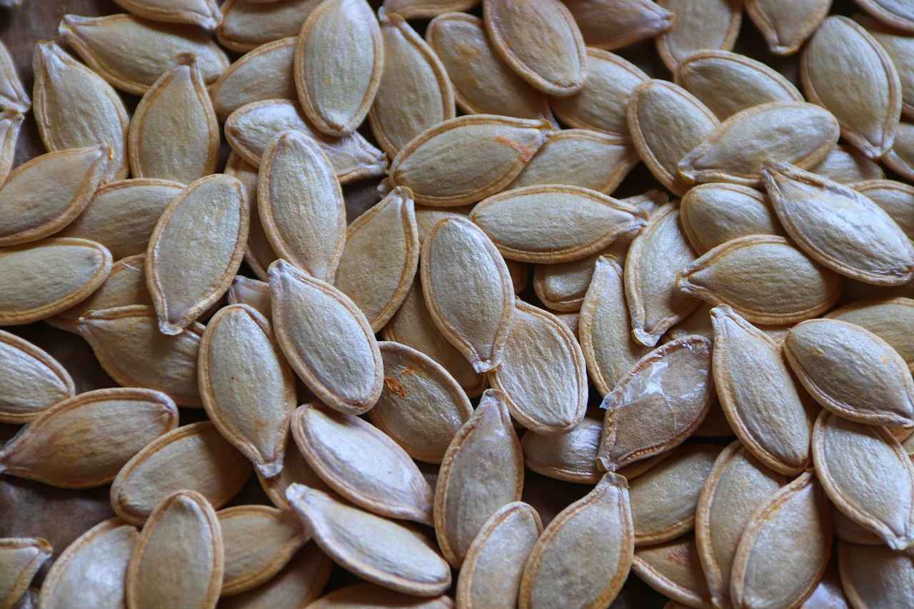 Health Benefits of Pumpkin Seed Extract